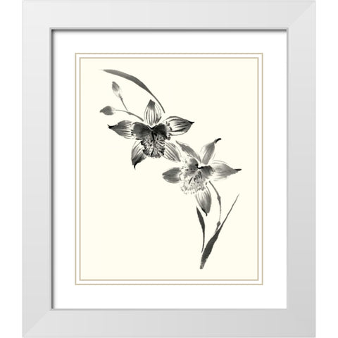 Studies in Ink - Cymbidium White Modern Wood Framed Art Print with Double Matting by Rae, Nan