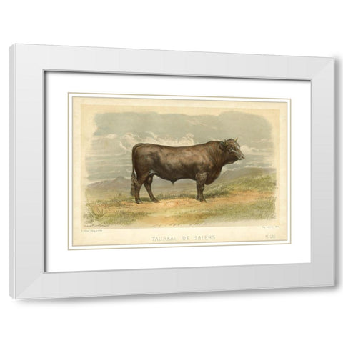 Taureau De Salers White Modern Wood Framed Art Print with Double Matting by Bonheur, I.