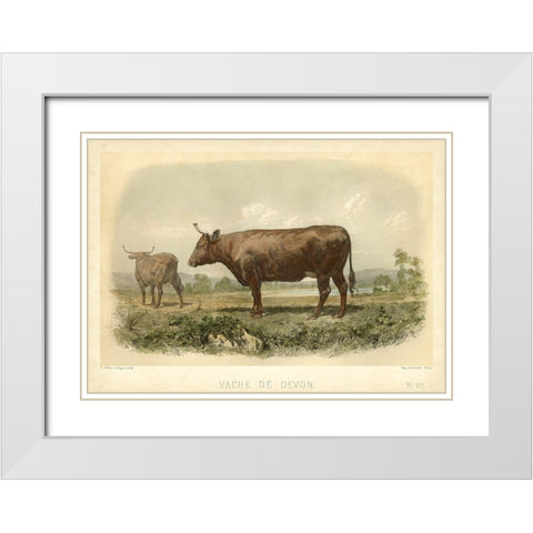 Vache De Devon White Modern Wood Framed Art Print with Double Matting by Bonheur, I.