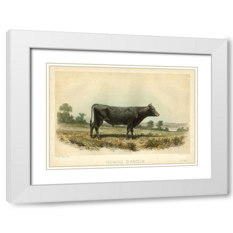 Taureau D Angeln White Modern Wood Framed Art Print with Double Matting by Bonheur, I.