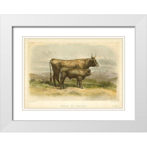 Vache De Salers White Modern Wood Framed Art Print with Double Matting by Bonheur, I.