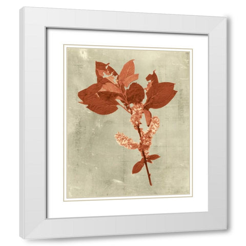 Impressions in Terra Cotta White Modern Wood Framed Art Print with Double Matting by Vision Studio