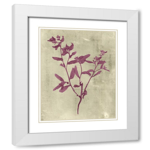 Impressions in Plum White Modern Wood Framed Art Print with Double Matting by Vision Studio