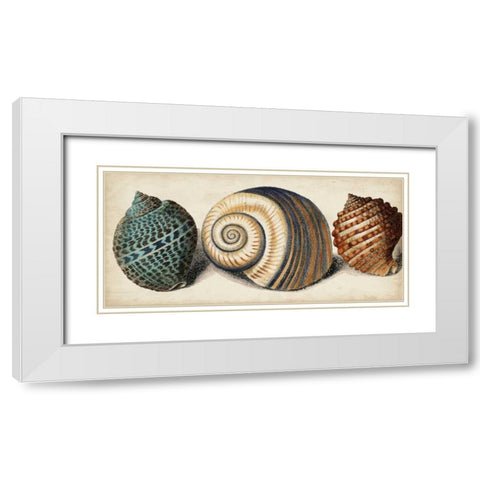 Shell Trio I White Modern Wood Framed Art Print with Double Matting by Vision Studio