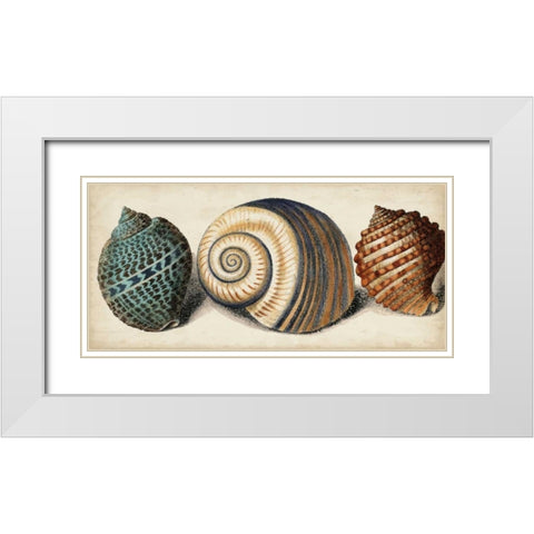 Shell Trio I White Modern Wood Framed Art Print with Double Matting by Vision Studio