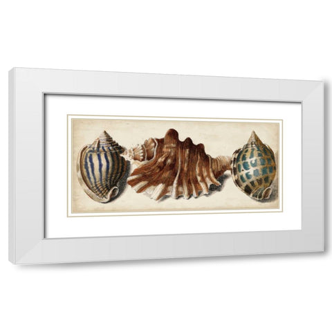 Shell Trio II White Modern Wood Framed Art Print with Double Matting by Vision Studio