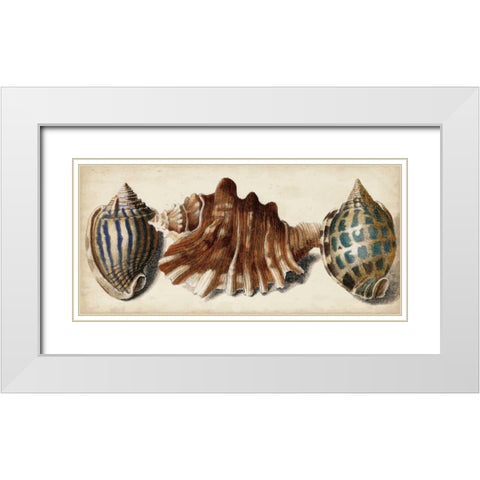 Shell Trio II White Modern Wood Framed Art Print with Double Matting by Vision Studio