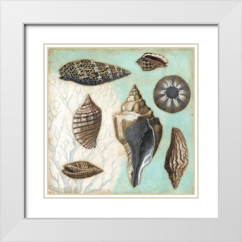 Antique Shell Collage II White Modern Wood Framed Art Print with Double Matting by Meagher, Megan