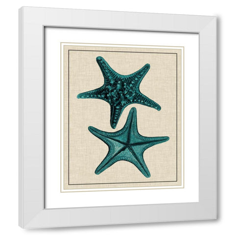 Coastal Starfish II White Modern Wood Framed Art Print with Double Matting by Vision Studio
