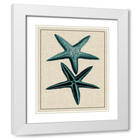 Coastal Starfish III White Modern Wood Framed Art Print with Double Matting by Vision Studio