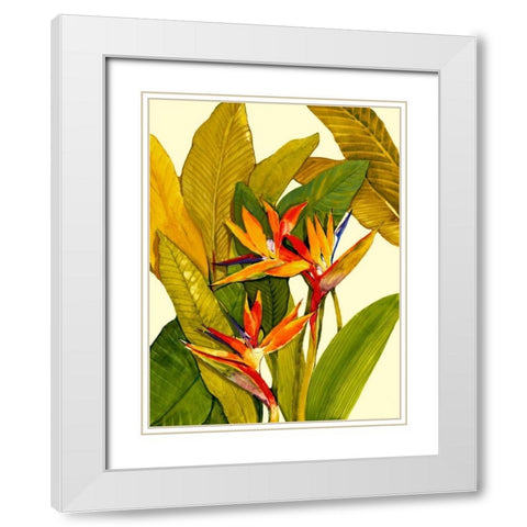 Tropical Bird of Paradise White Modern Wood Framed Art Print with Double Matting by OToole, Tim