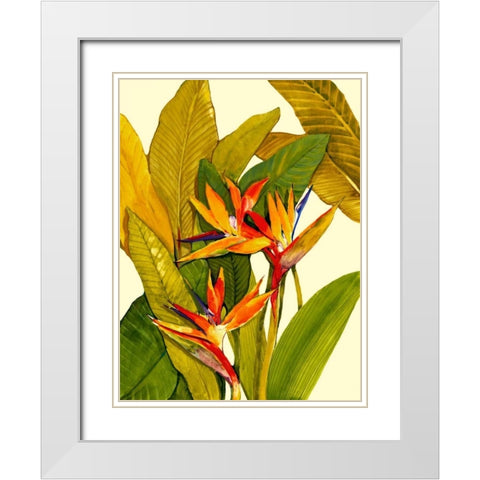 Tropical Bird of Paradise White Modern Wood Framed Art Print with Double Matting by OToole, Tim