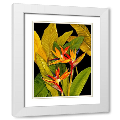 Dramatic Bird of Paradise White Modern Wood Framed Art Print with Double Matting by OToole, Tim