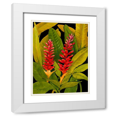 Dramatic Red Ginger White Modern Wood Framed Art Print with Double Matting by OToole, Tim