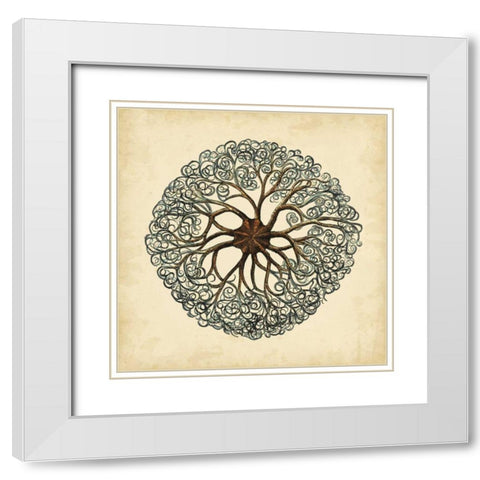 Gems of the Sea II White Modern Wood Framed Art Print with Double Matting by Vision Studio