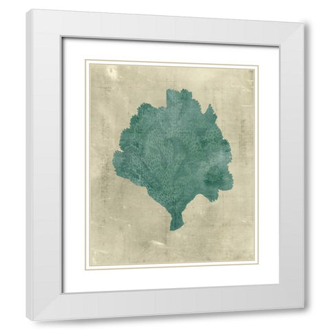 Coral in Teal White Modern Wood Framed Art Print with Double Matting by Vision Studio