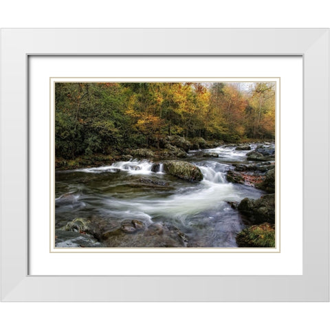 Autumn Dream White Modern Wood Framed Art Print with Double Matting by Head, Danny