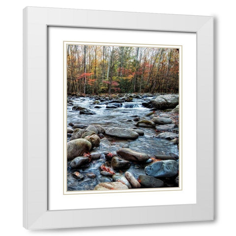 Porters Creek II White Modern Wood Framed Art Print with Double Matting by Head, Danny