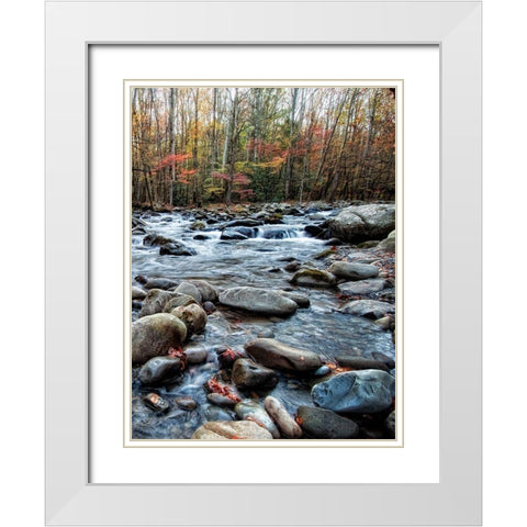 Porters Creek II White Modern Wood Framed Art Print with Double Matting by Head, Danny