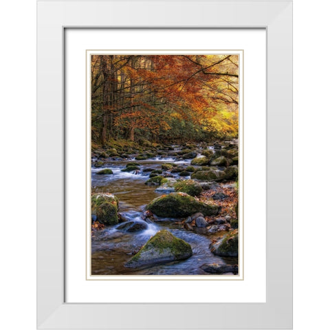 Autumn on Little River White Modern Wood Framed Art Print with Double Matting by Head, Danny