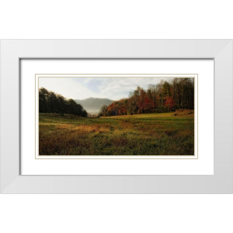 Warm Morning Light White Modern Wood Framed Art Print with Double Matting by Head, Danny