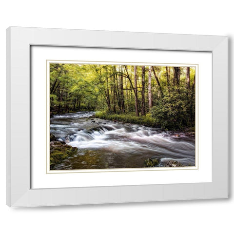 Sunlight on Jakes Creek II White Modern Wood Framed Art Print with Double Matting by Head, Danny