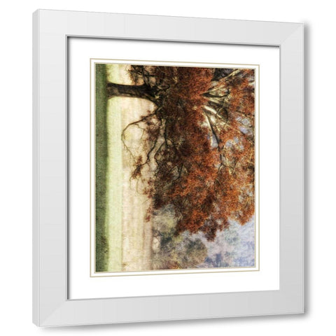 Sunbathed Oak II White Modern Wood Framed Art Print with Double Matting by Head, Danny