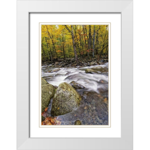 Roaring Waters I White Modern Wood Framed Art Print with Double Matting by Head, Danny