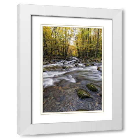Roaring Waters II White Modern Wood Framed Art Print with Double Matting by Head, Danny