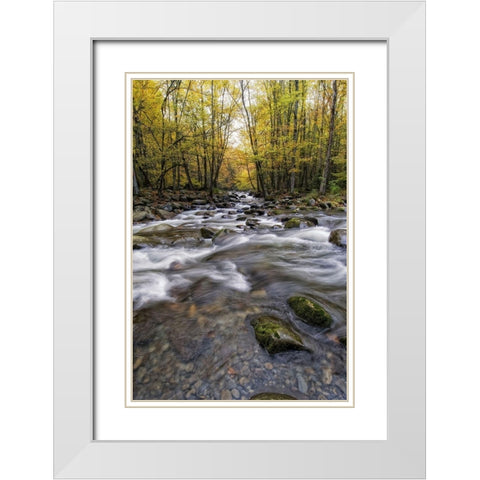 Roaring Waters II White Modern Wood Framed Art Print with Double Matting by Head, Danny