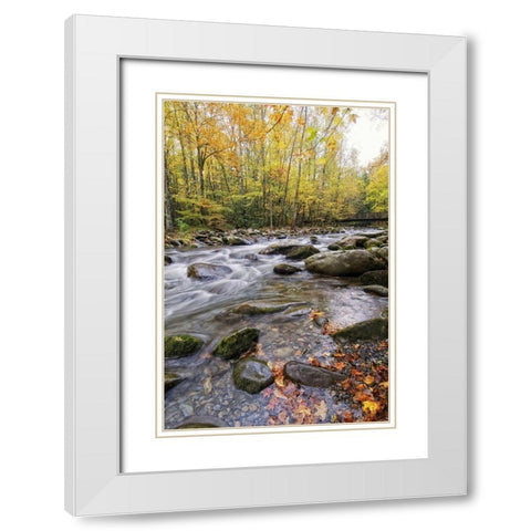 Roaring Waters III White Modern Wood Framed Art Print with Double Matting by Head, Danny