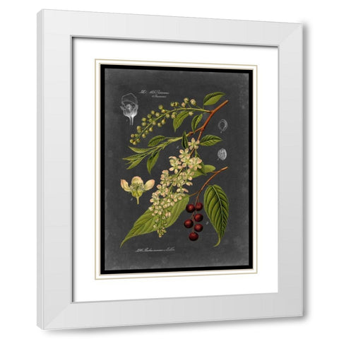 Midnight Botanical II White Modern Wood Framed Art Print with Double Matting by Vision Studio