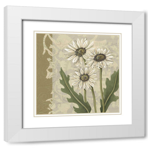 Paris Daisy I White Modern Wood Framed Art Print with Double Matting by Zarris, Chariklia