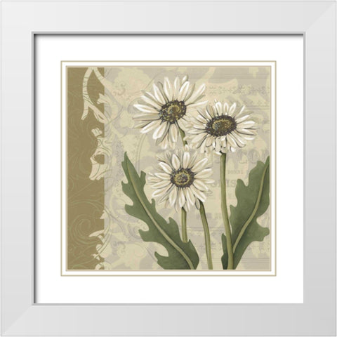 Paris Daisy I White Modern Wood Framed Art Print with Double Matting by Zarris, Chariklia