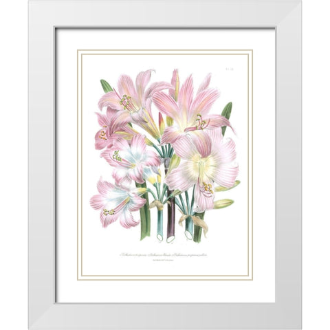 Lily Garden IV White Modern Wood Framed Art Print with Double Matting by Loudon, Jane