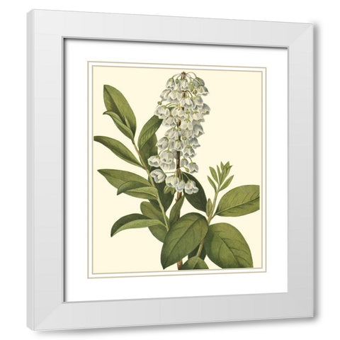 Delicate Foliage IV White Modern Wood Framed Art Print with Double Matting by Unknown