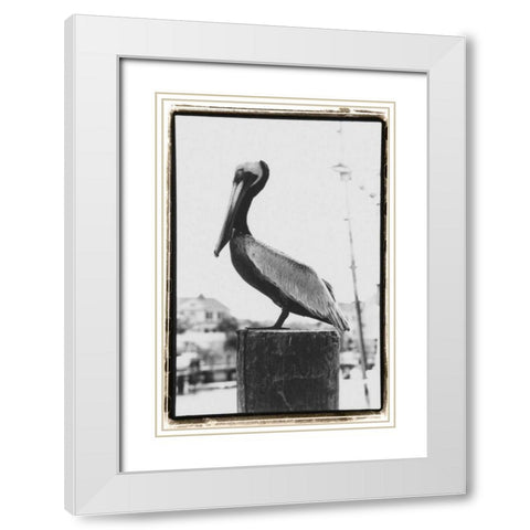 Pelican Perch White Modern Wood Framed Art Print with Double Matting by DeNardo, Laura