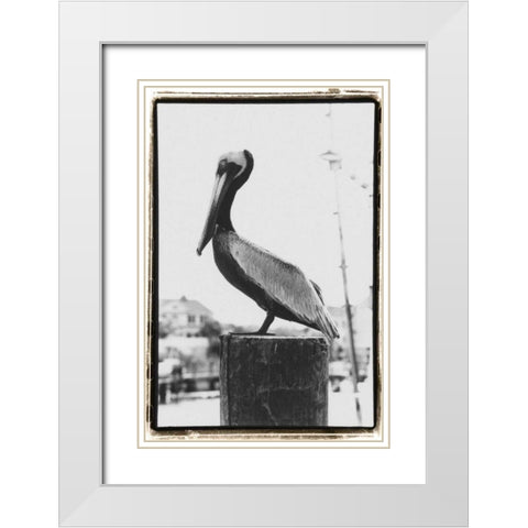 Pelican Perch White Modern Wood Framed Art Print with Double Matting by DeNardo, Laura