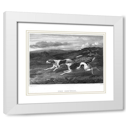 Foxhounds White Modern Wood Framed Art Print with Double Matting by Scott, John