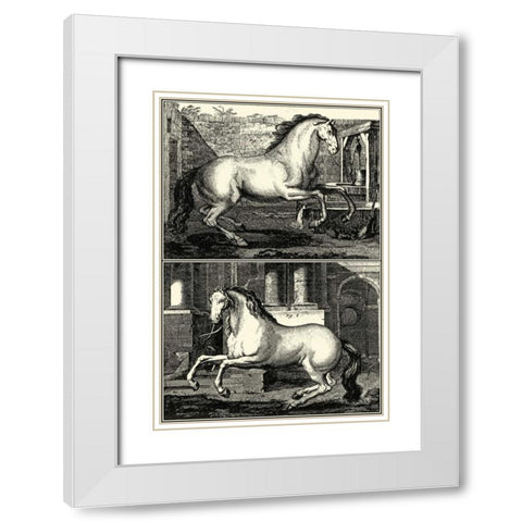Galloping Horses II White Modern Wood Framed Art Print with Double Matting by unknown