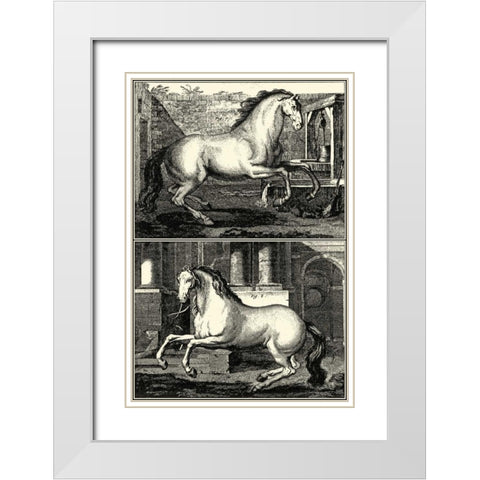 Galloping Horses II White Modern Wood Framed Art Print with Double Matting by unknown