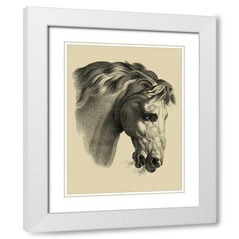 Equestrian Portrait IV White Modern Wood Framed Art Print with Double Matting by Vision Studio