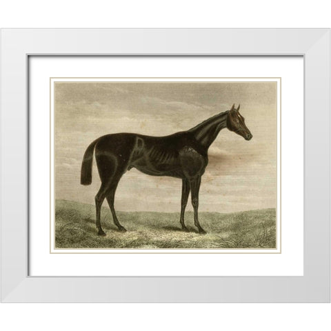 Pretender White Modern Wood Framed Art Print with Double Matting by unknown