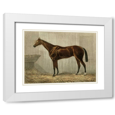 Blue Crown White Modern Wood Framed Art Print with Double Matting by unknown