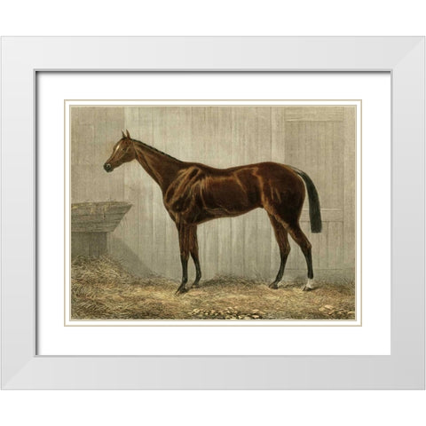 Blue Crown White Modern Wood Framed Art Print with Double Matting by unknown