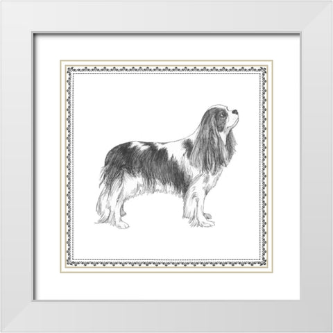 Best in Show IV White Modern Wood Framed Art Print with Double Matting by Meagher, Megan
