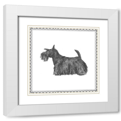 Best in Show IX White Modern Wood Framed Art Print with Double Matting by Meagher, Megan