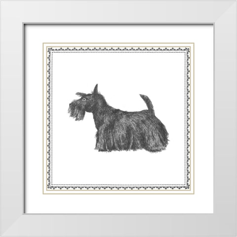Best in Show IX White Modern Wood Framed Art Print with Double Matting by Meagher, Megan