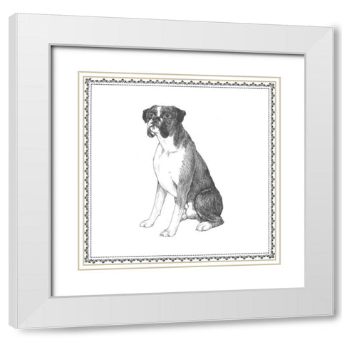 Best in Show XI White Modern Wood Framed Art Print with Double Matting by Meagher, Megan