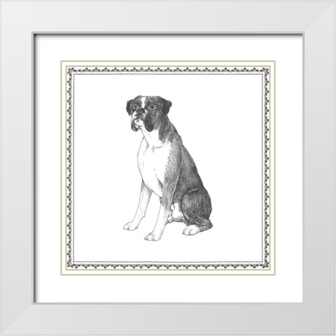 Best in Show XI White Modern Wood Framed Art Print with Double Matting by Meagher, Megan
